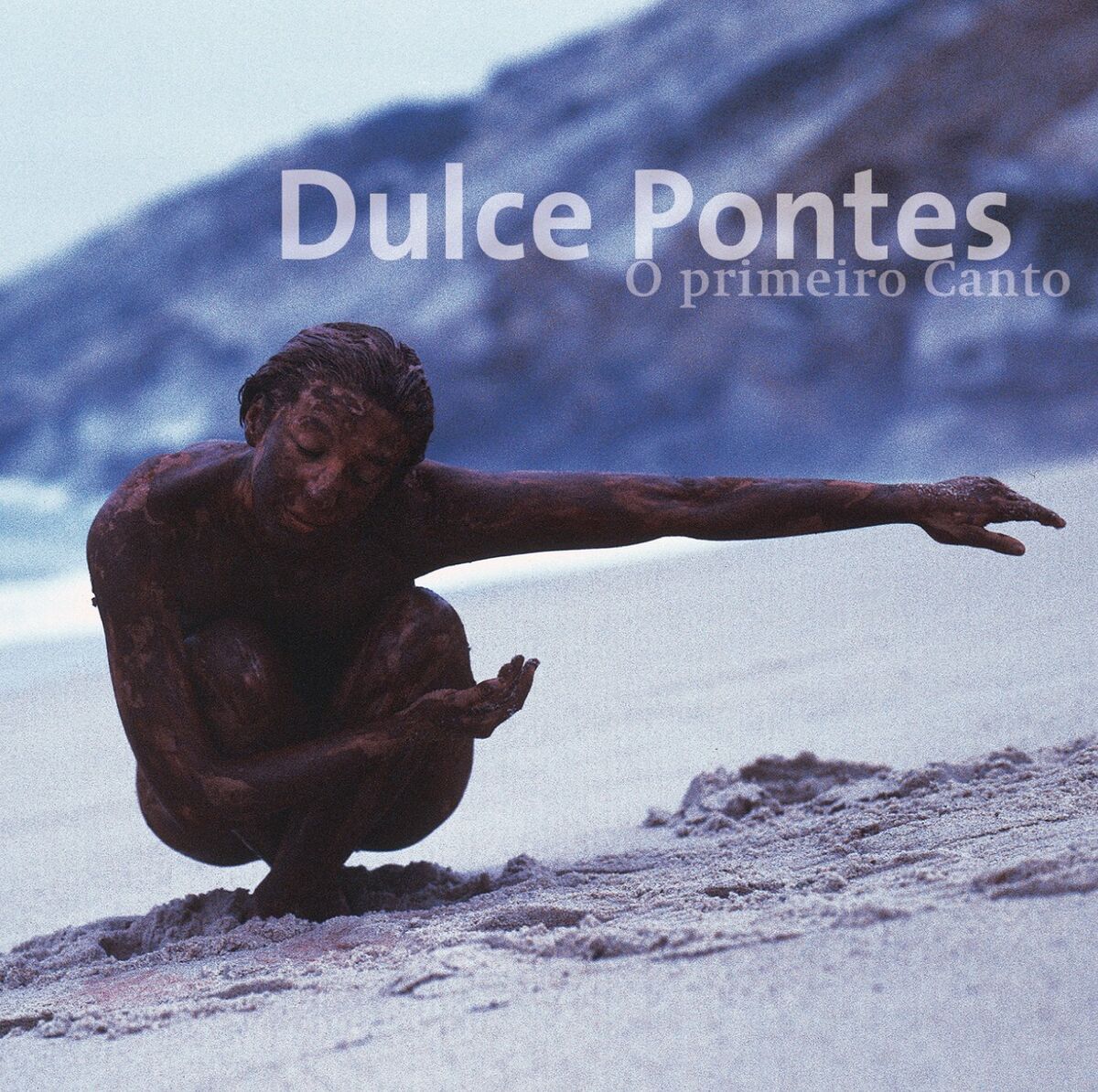Album cover of Velha Chica (Com Waldemar Bastos)