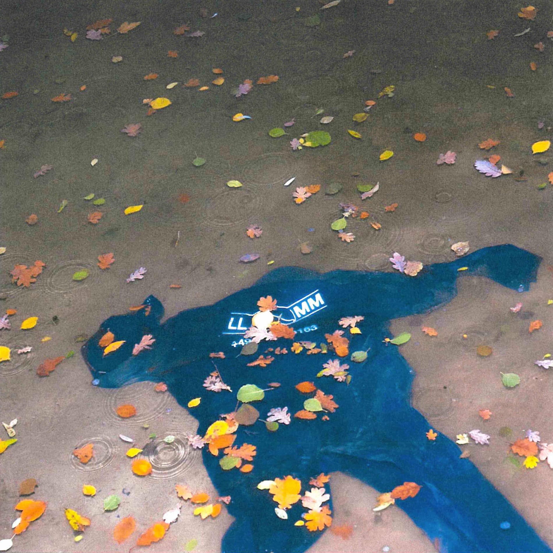 Album cover of neue Ufer