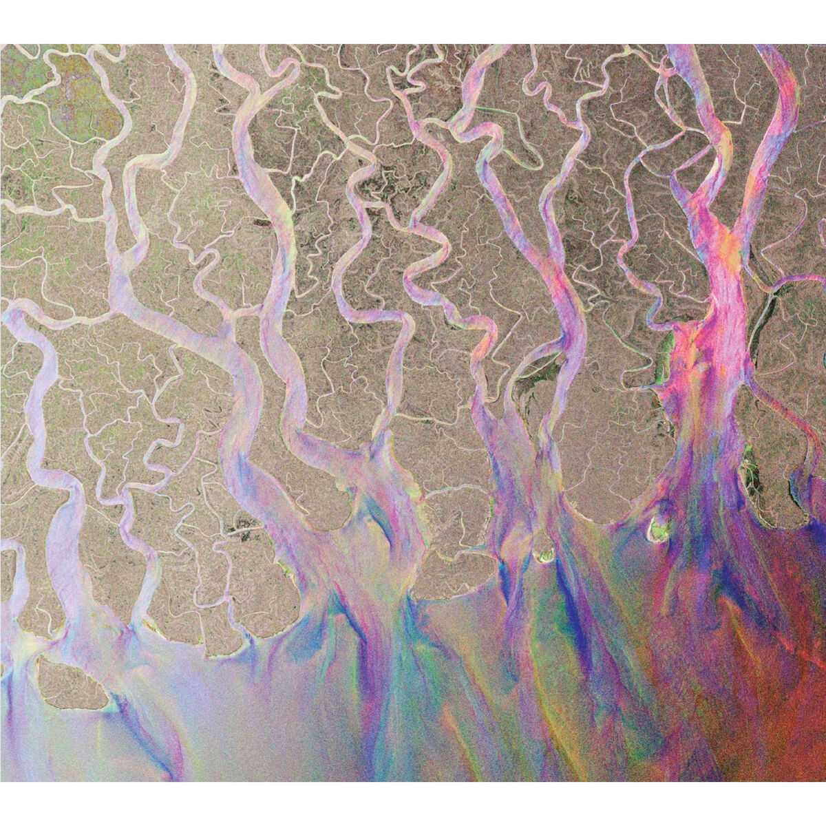 Album cover of Dissolve Me