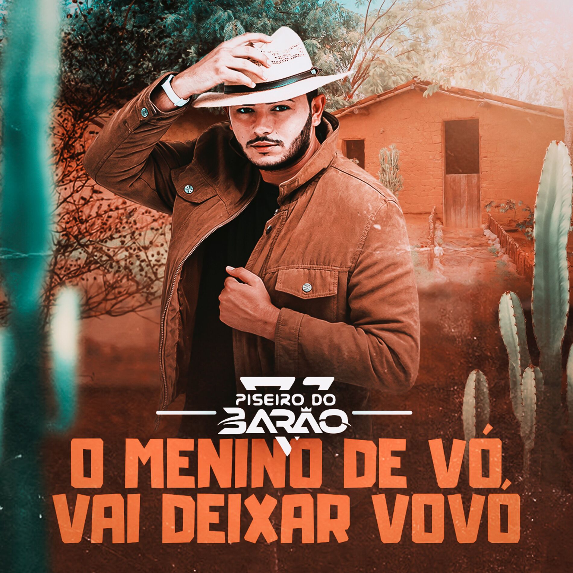 Album cover of O Menino de Vó Vai Deixar Vovó