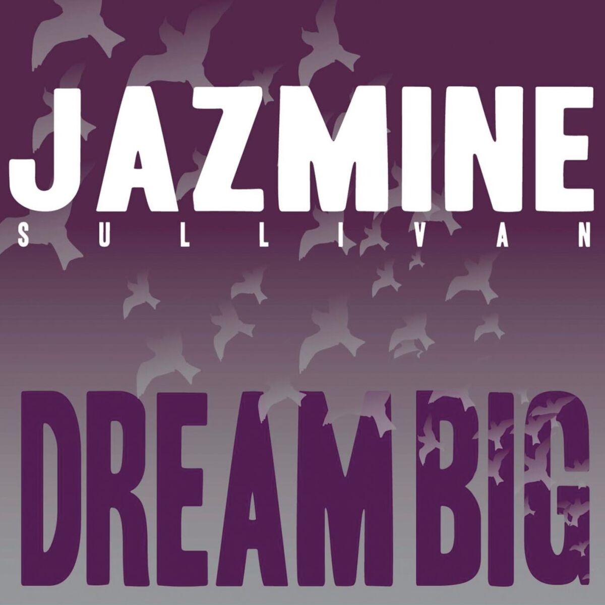 Album cover of Dream Big