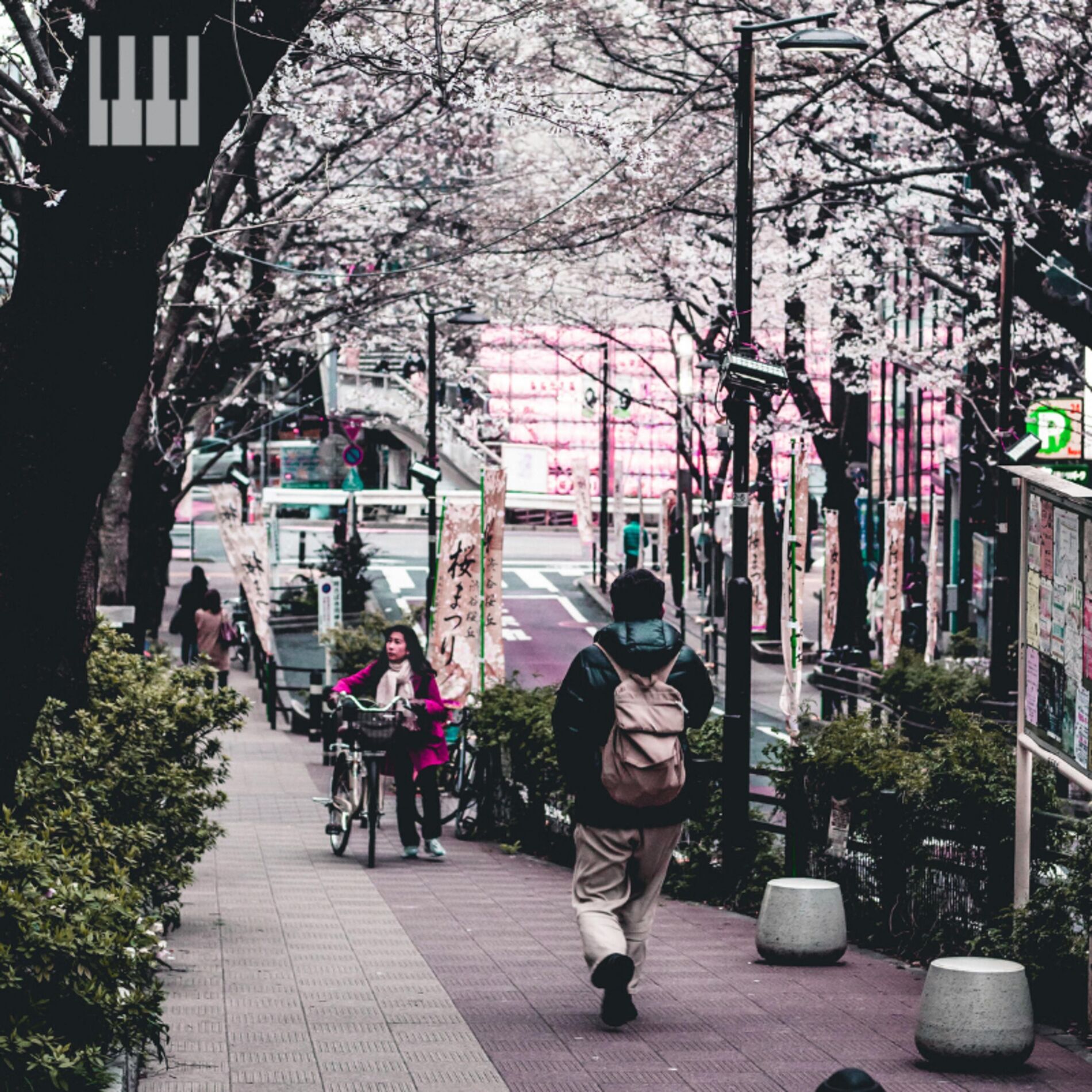 Album cover of Shibuya Stroll (feat. Nathan Kawanishi)