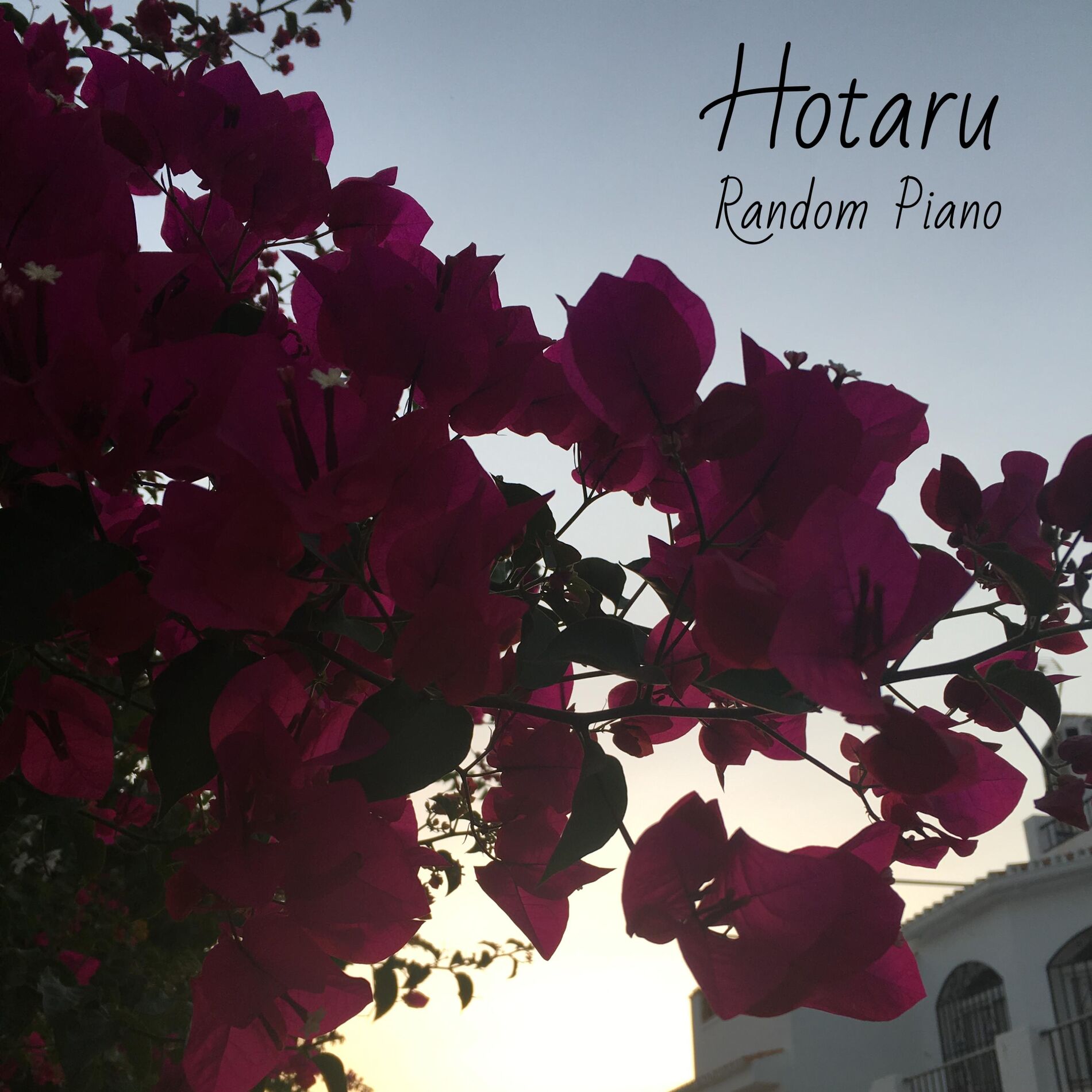 Album cover of Hotaru
