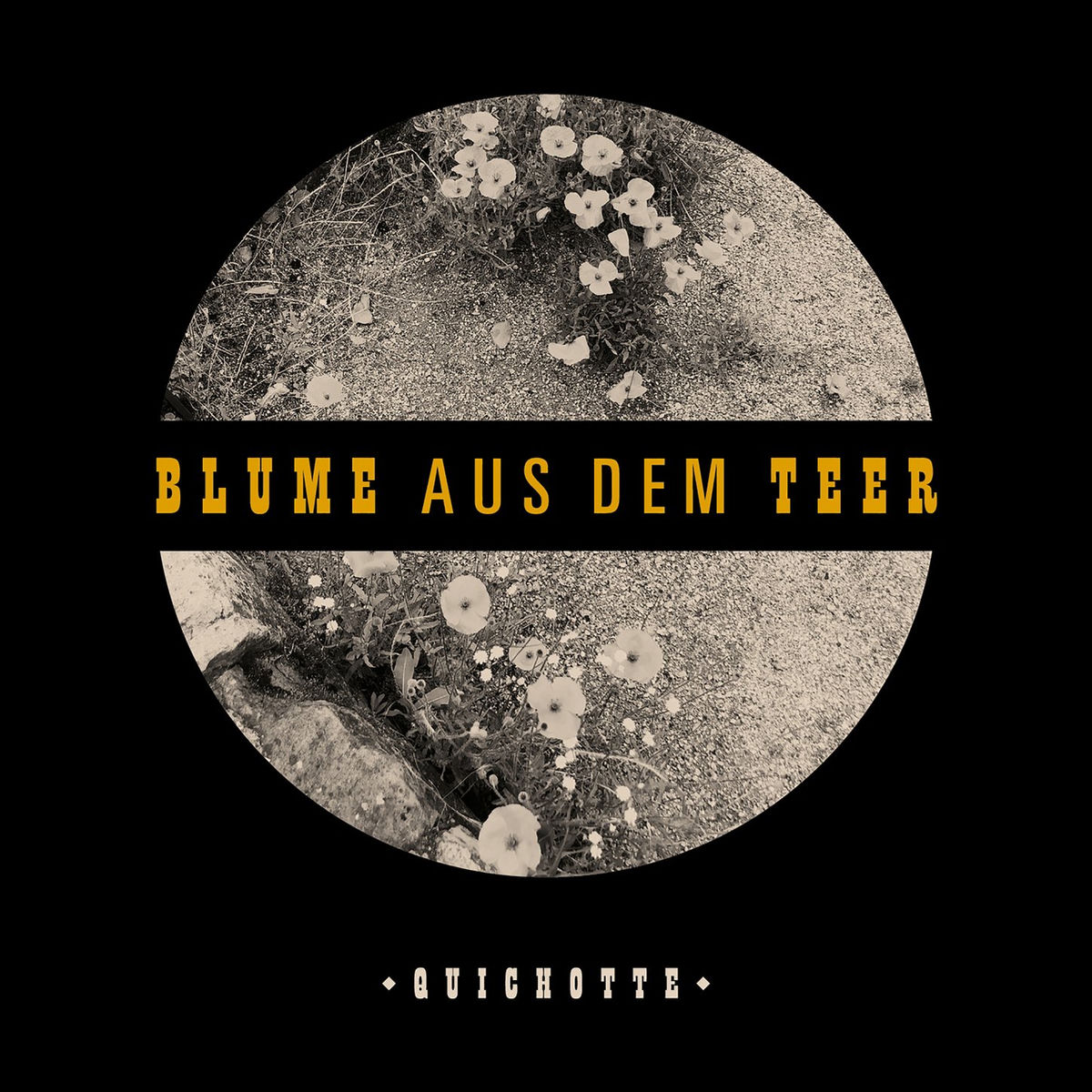 Album cover of Blume aus dem Teer