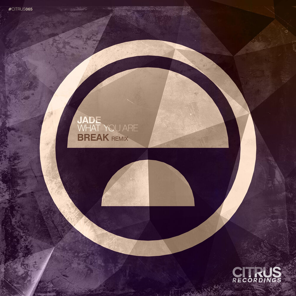 Picture of What You Are (Break Remix) / Monstereo