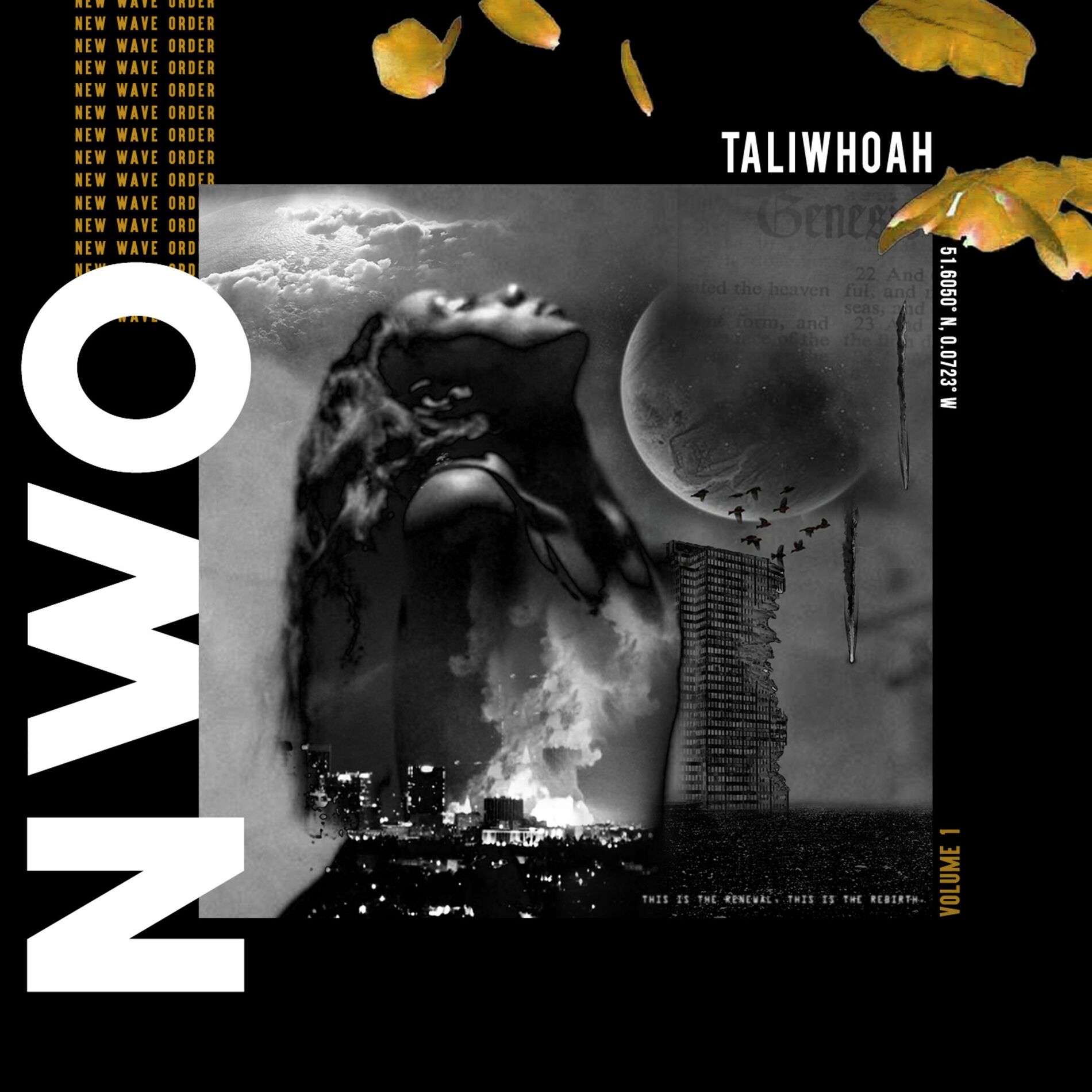 Album cover of New Wave Order, Vol. 1