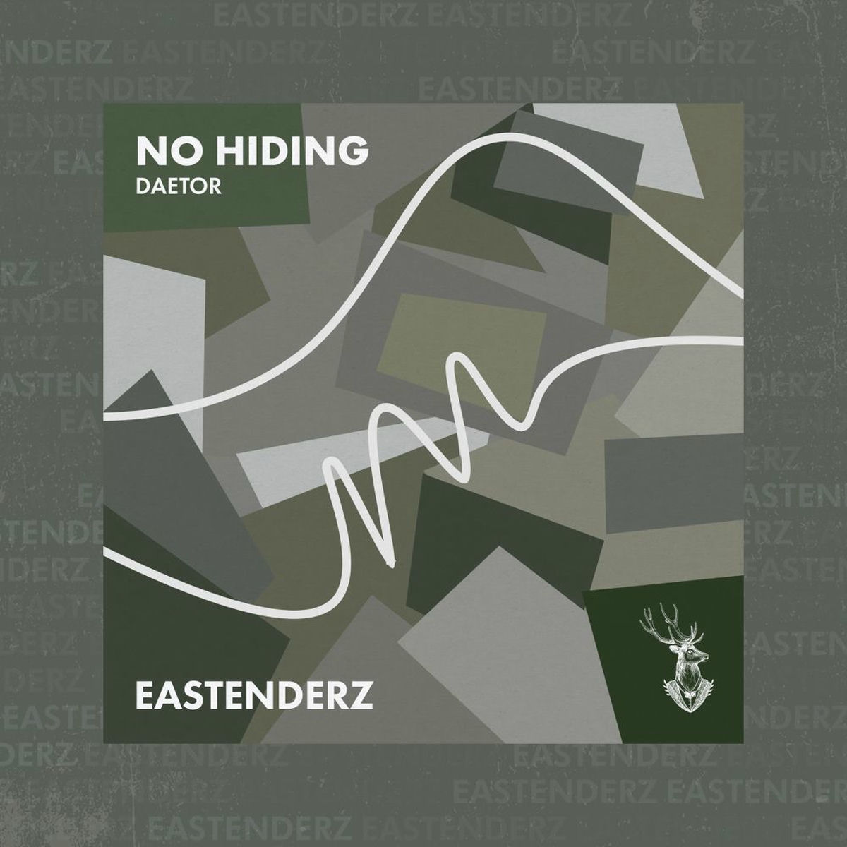 Album cover of No Hiding