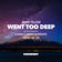 Went Too Deep by Amir Telem album cover