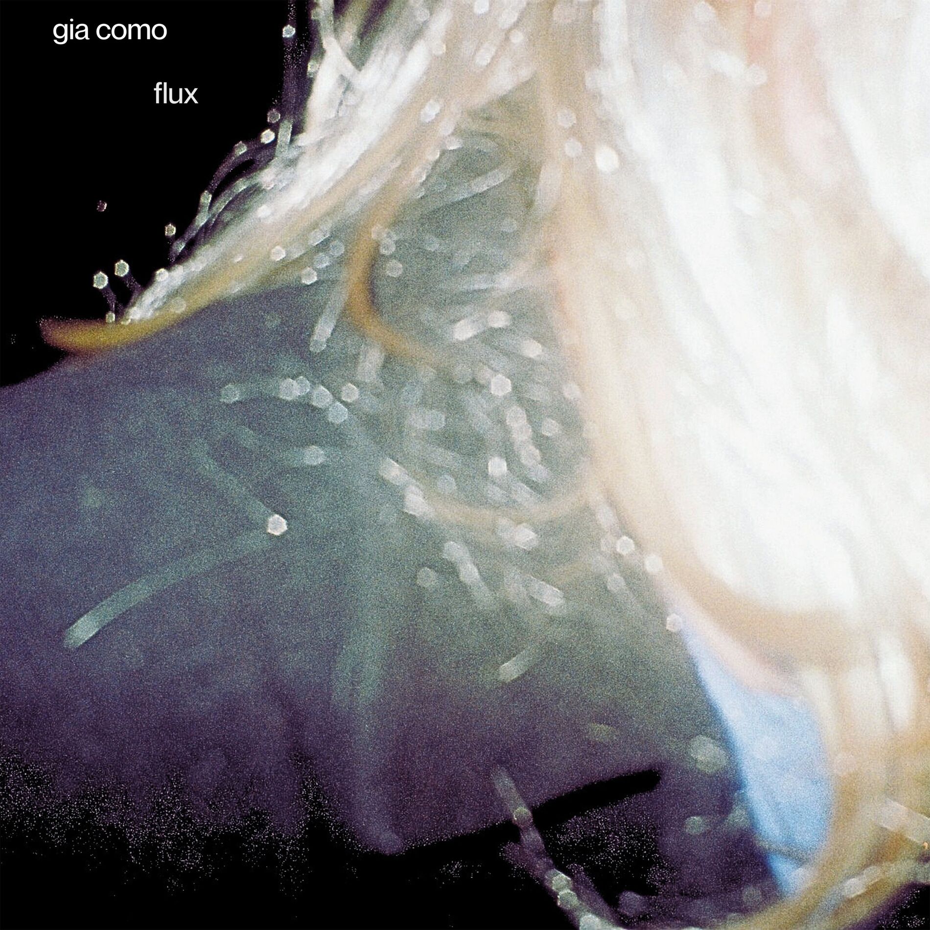 Album cover of FLUX