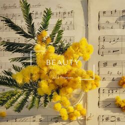 Cover of Beauty