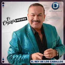 Cover of El Rey de los Caballos