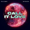 FELIX JAEHN feat..RAY DALTON - CALL IT LOVE