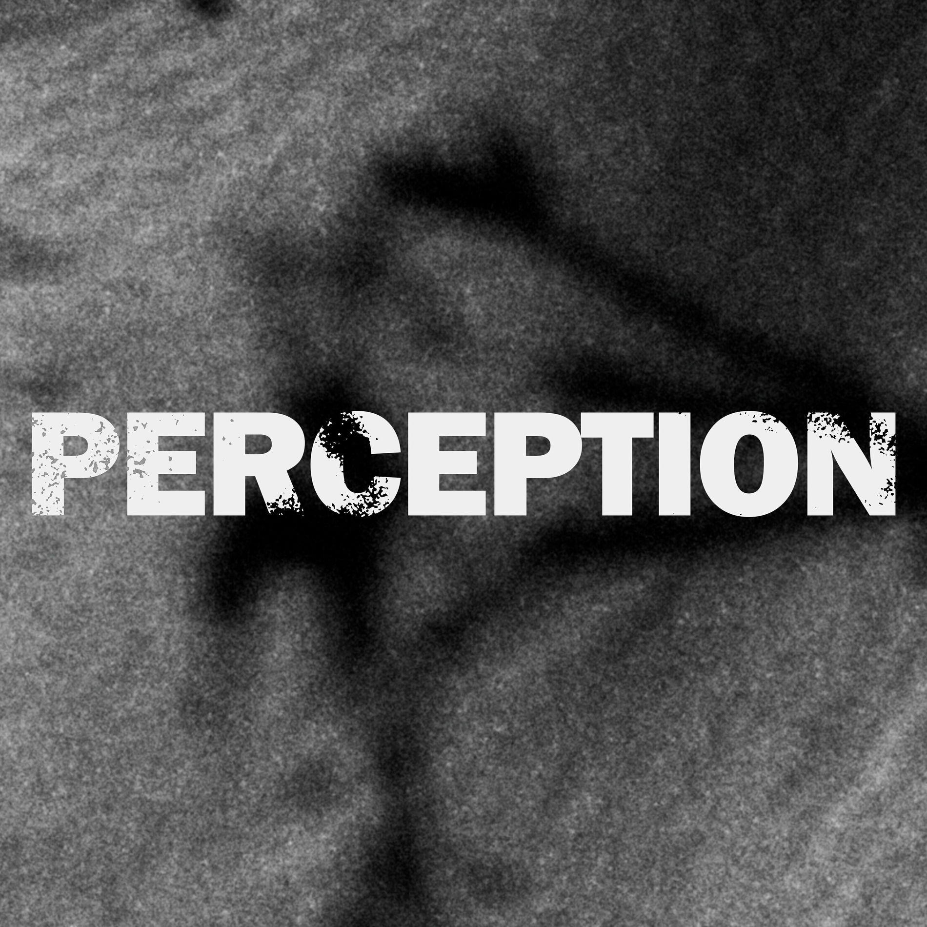 Album cover of Perception