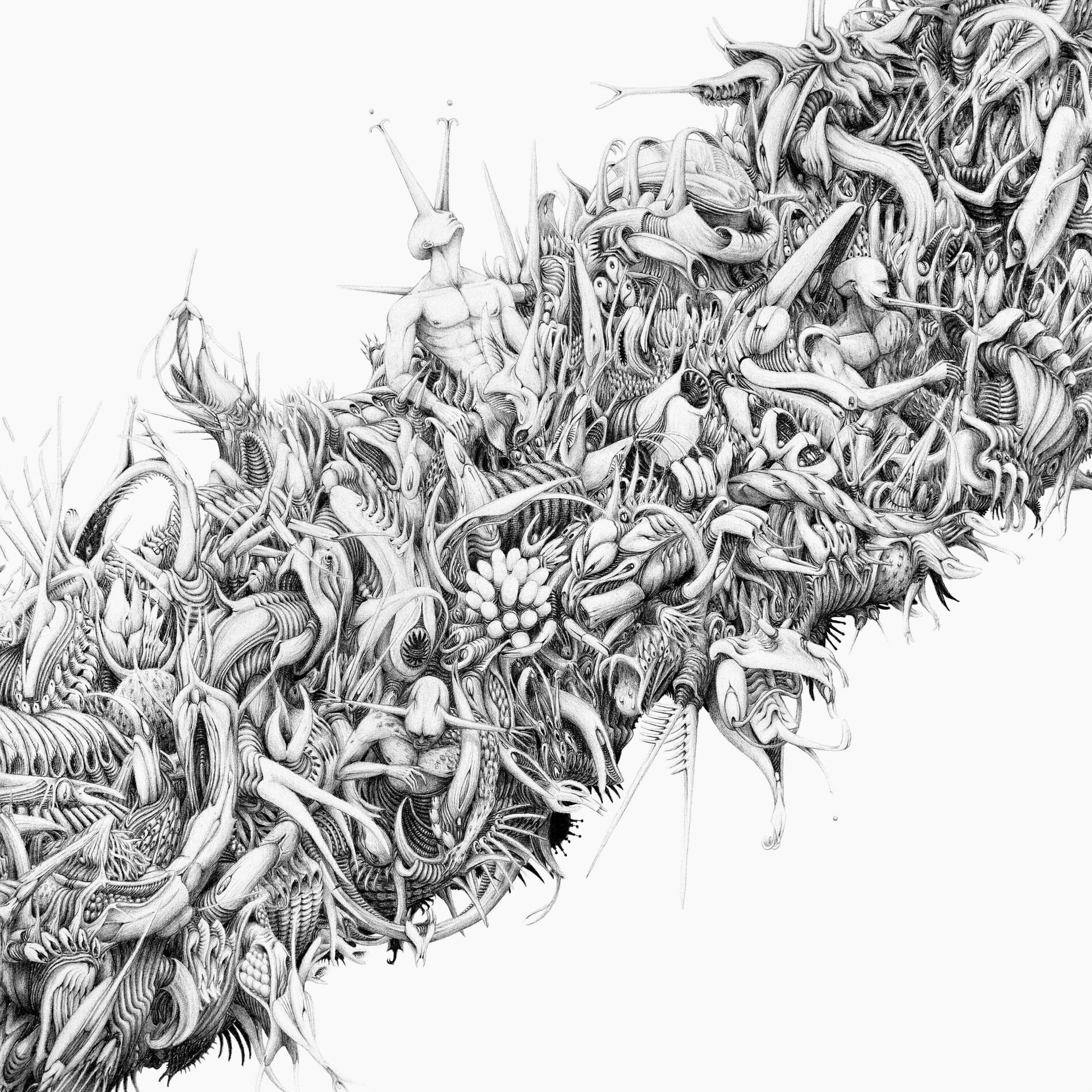 Album cover of Entropie