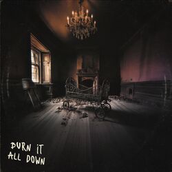 Cover of BURN IT ALL DOWN