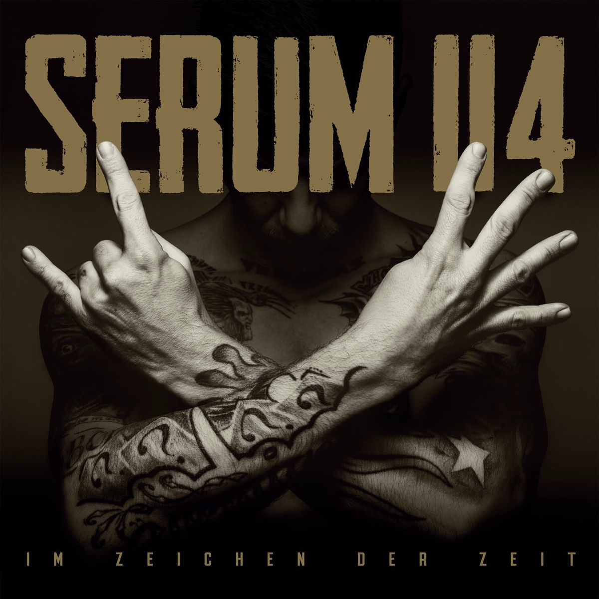 Album cover of Im Zeichen der Zeit