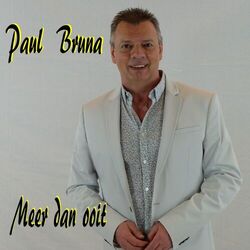Cover of Meer Dan Ooit