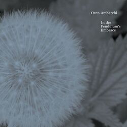 Cover of In the Pendulum's Embrace