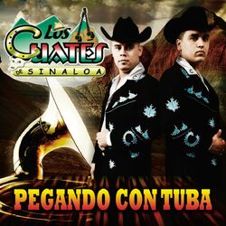 Cover of Pegando Con Tuba