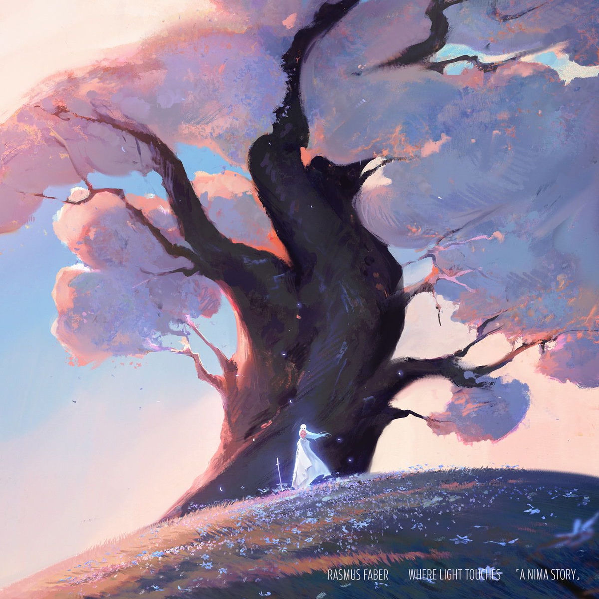 Album cover of Where Light Touches 「A NIMA Story」