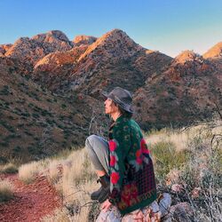 Cover of Into The Wild