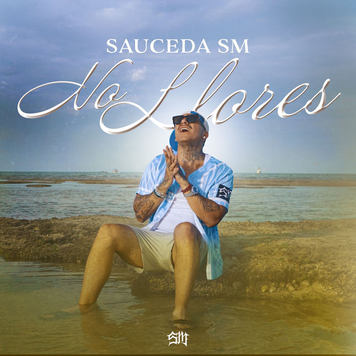 Album cover of No Llores