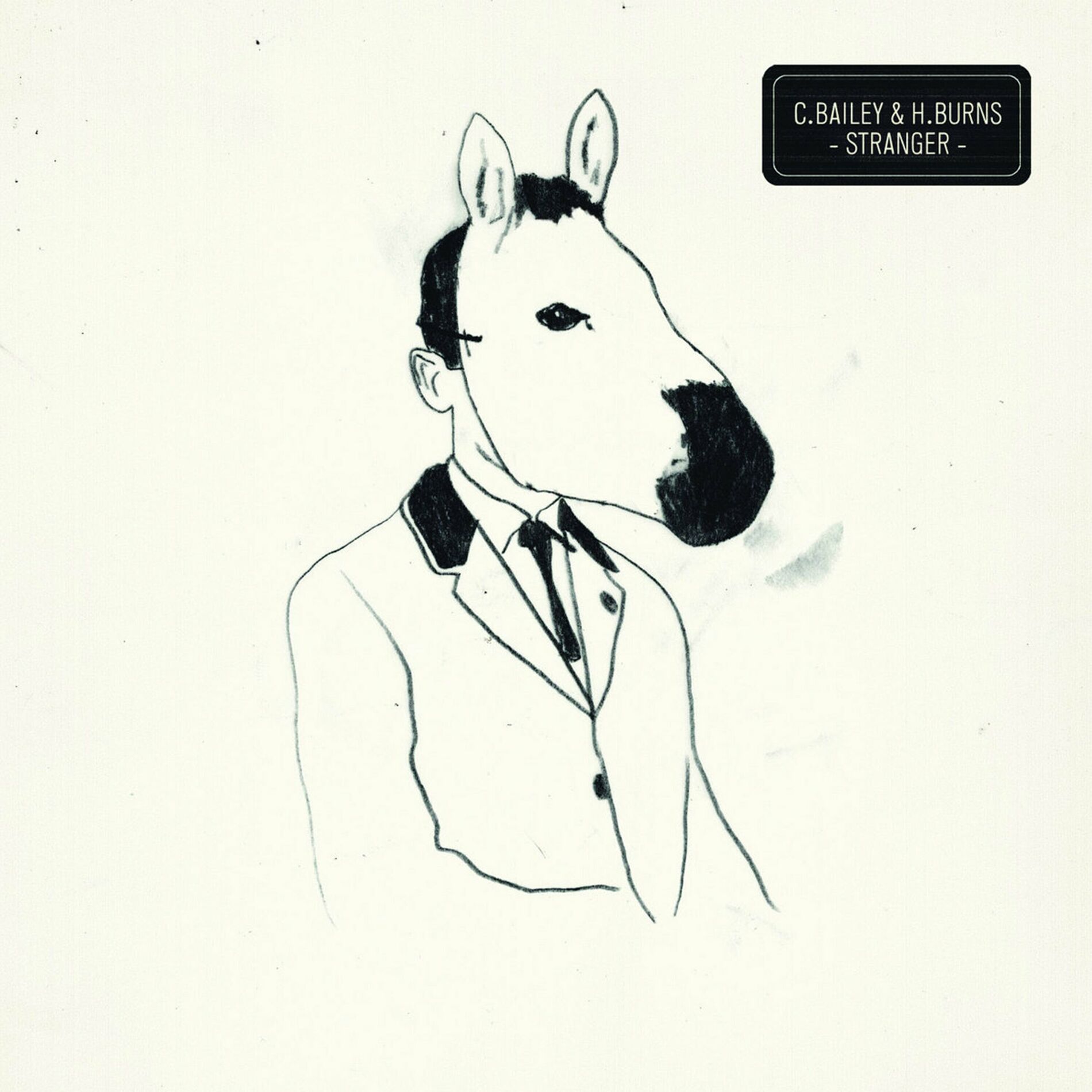 Album cover of Stranger