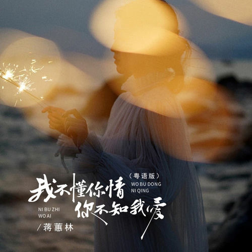我不懂你情你不知我爱 (粤语版)