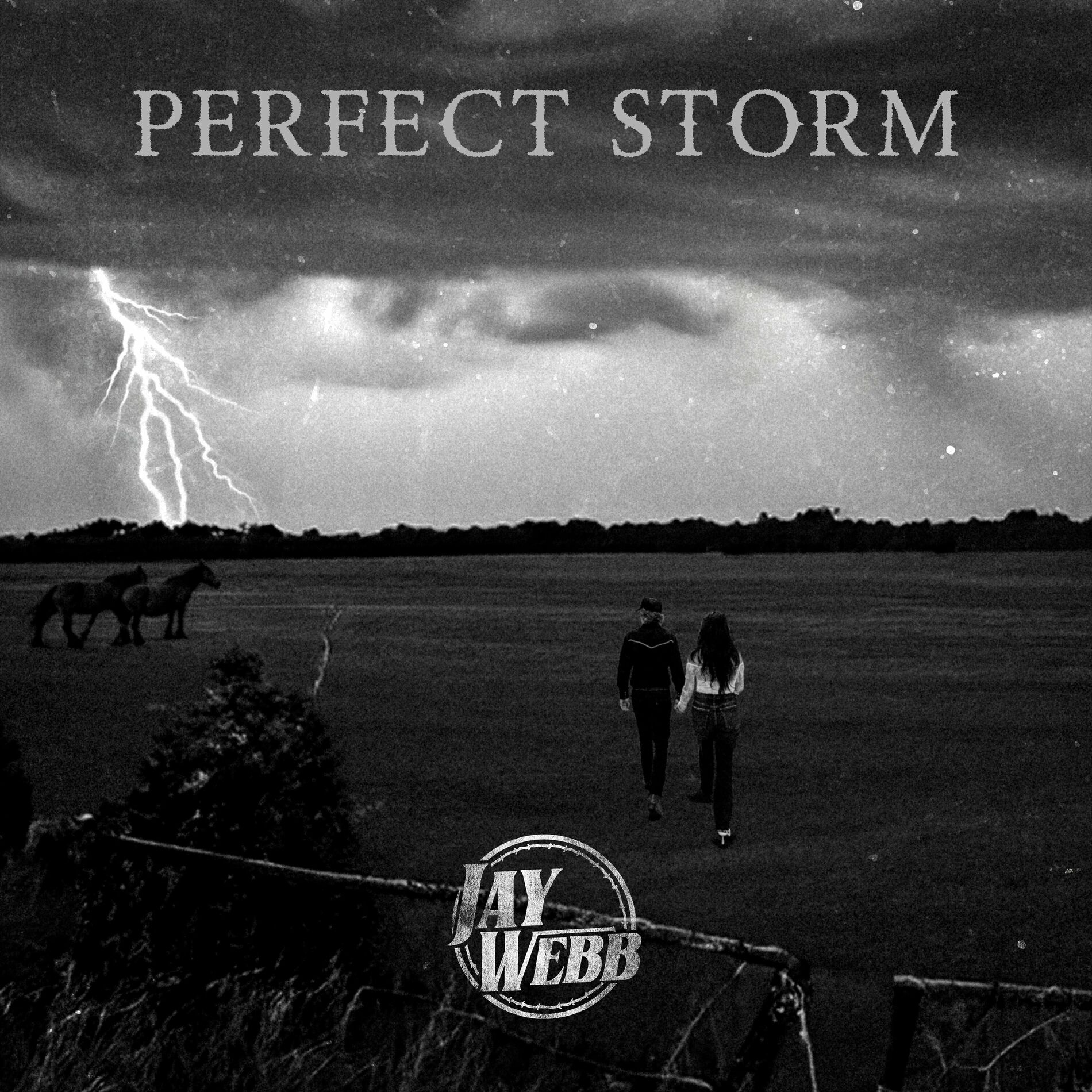 Album cover of Perfect Storm