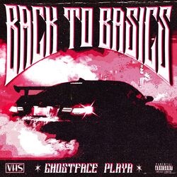 Cover of Back to Basics