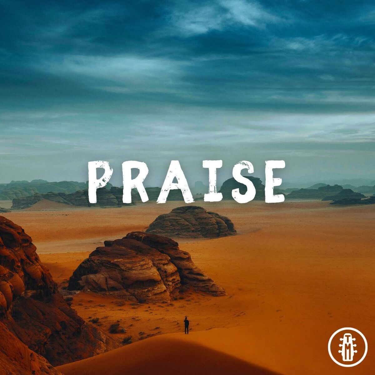 Album cover of Praise - Acoustic Instrumental