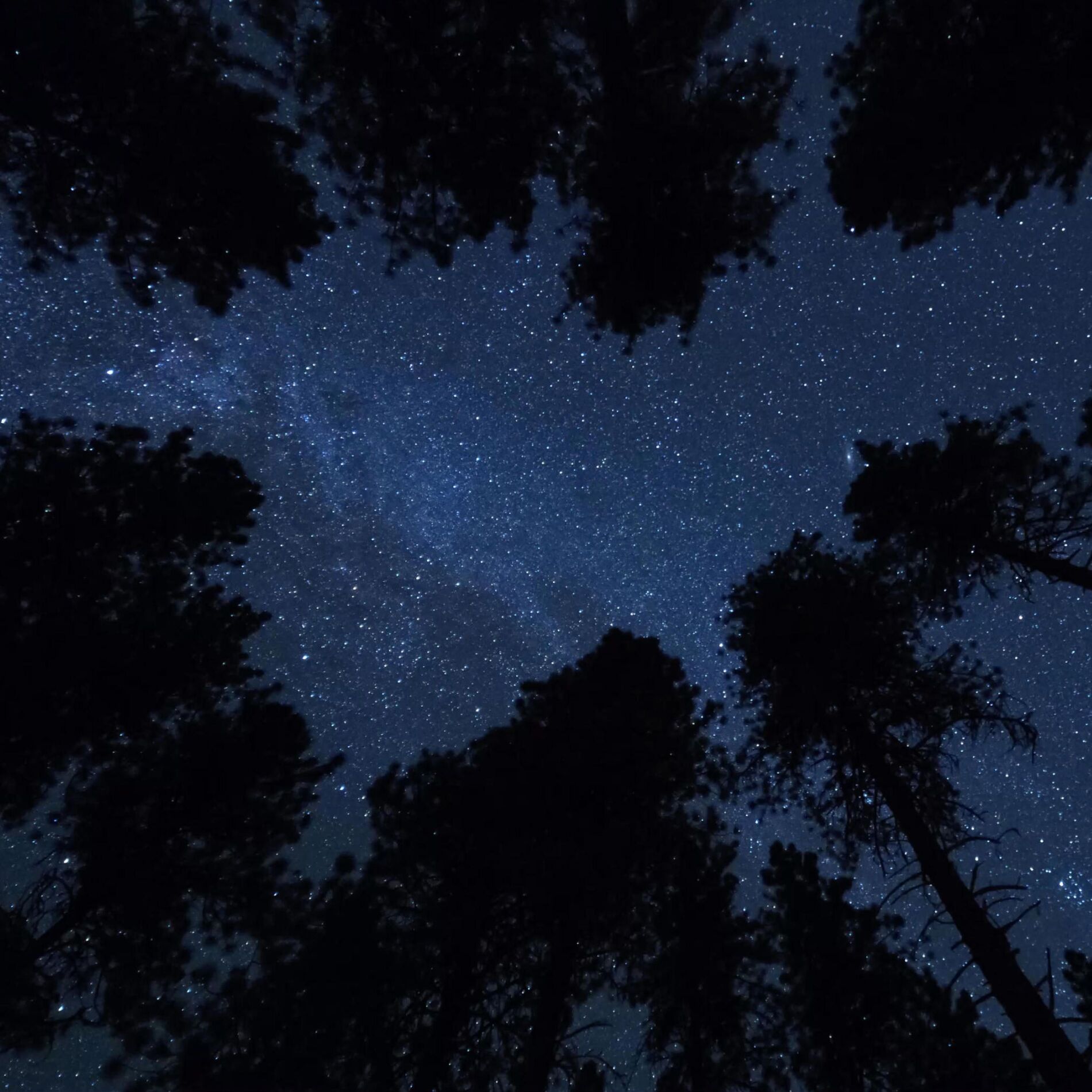 Album cover of A Message from the Stars (Edits)