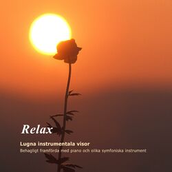 Cover of Relax - Lugna instrumentala visor