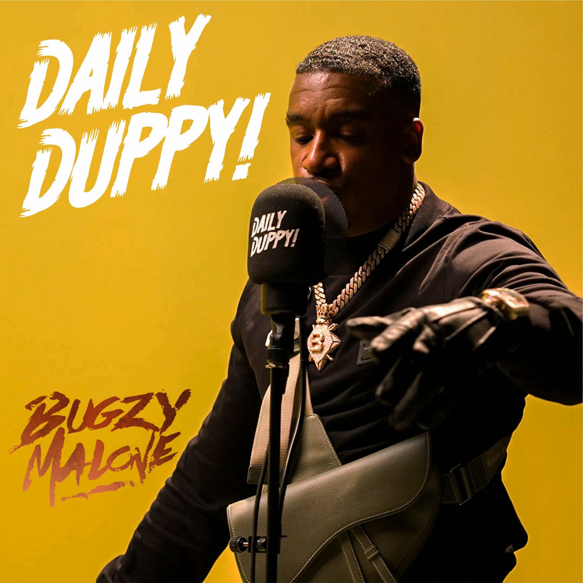 Album cover of Daily Duppy