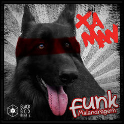 Cover of Funk Malandragem by undefined