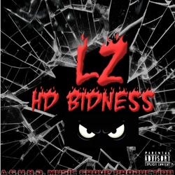 Cover of HD BIDNESS