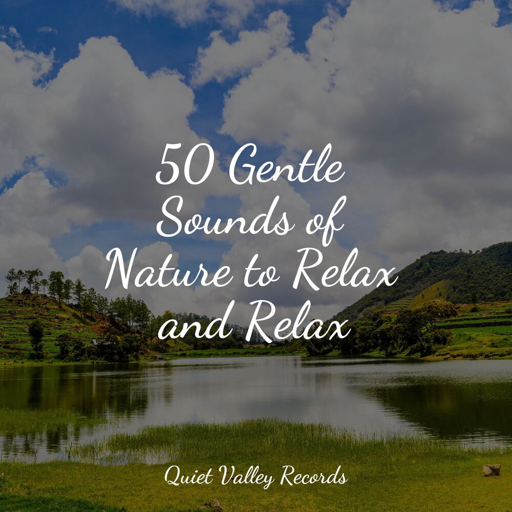 Picture of 50 Gentle Sounds of Nature to Relax and Relax