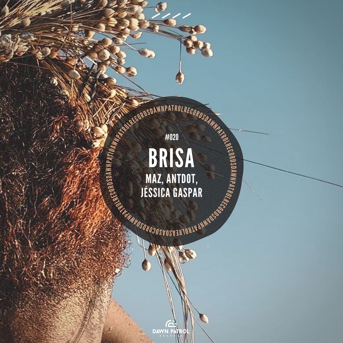 Album cover of Brisa