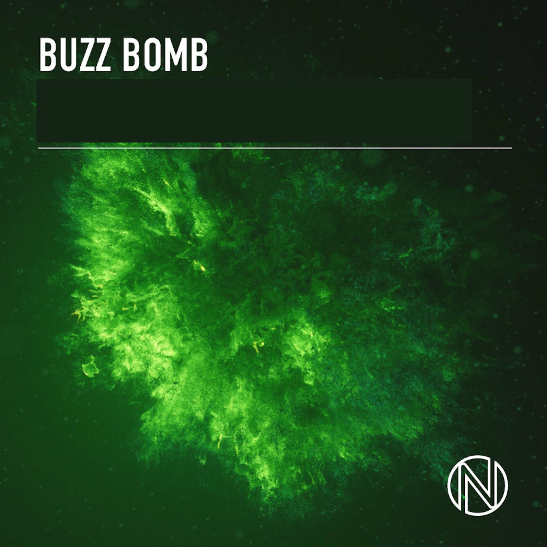 Album cover of Buzz Bomb
