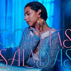 Cover of Gotitas Saladas
