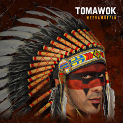 music cover