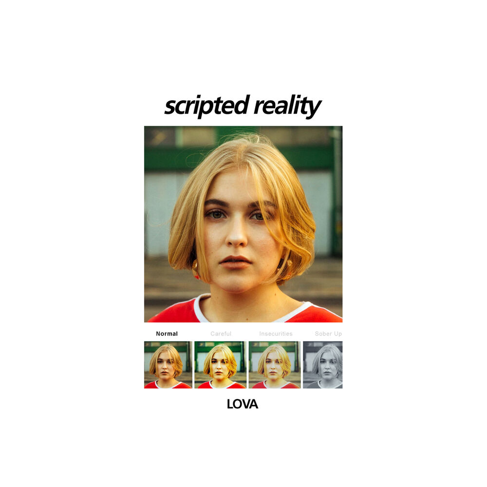 Picture of Scripted Reality