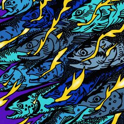 Cover of Poisson Noir_sans bars