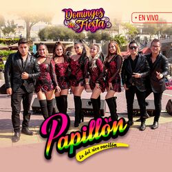 Cover of Domingos de Fiesta en Concierto (En Vivo)