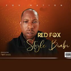 Cover of Style Biabi
