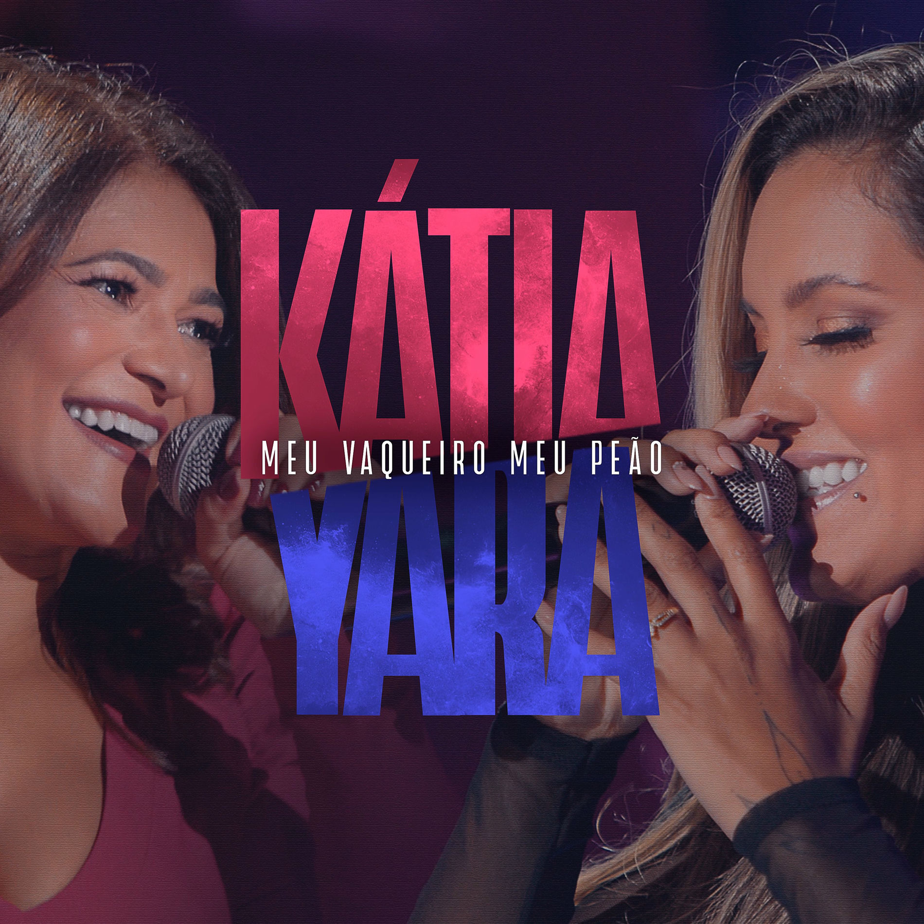 Album cover of Meu Vaqueiro, Meu Peão