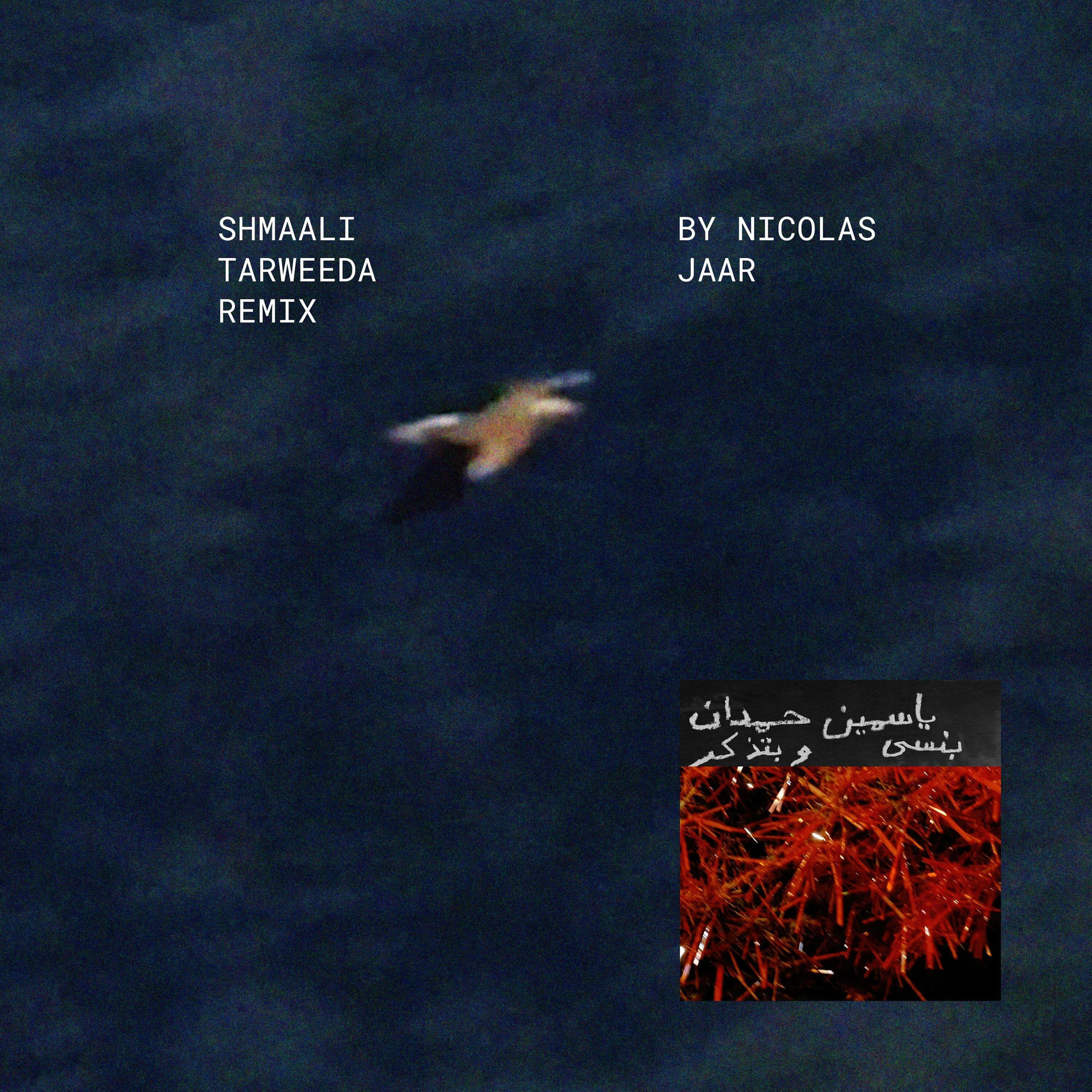 Album cover of Shmaali شمالي Tarweeda (Nicolas Jaar Remix)