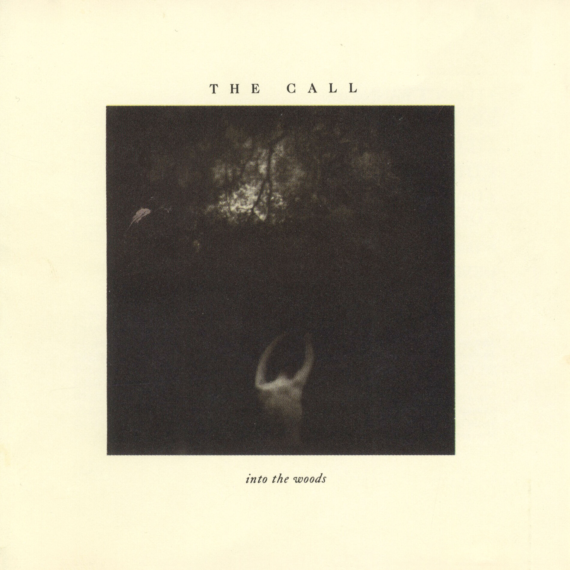Album cover of The Woods