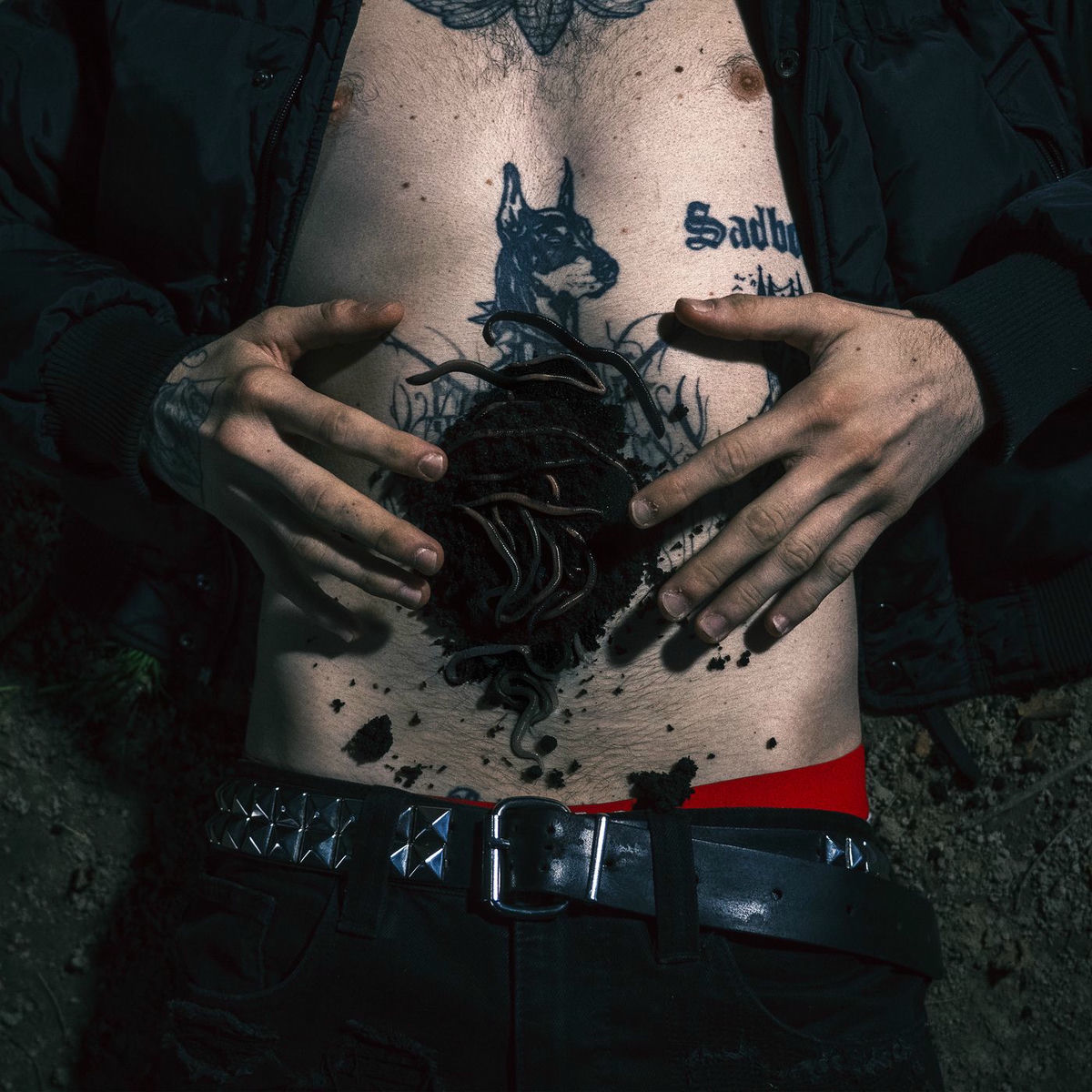 Album cover of DALLE TENEBRE COI VERMI