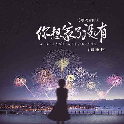 你想家了没有 (粤语金曲)